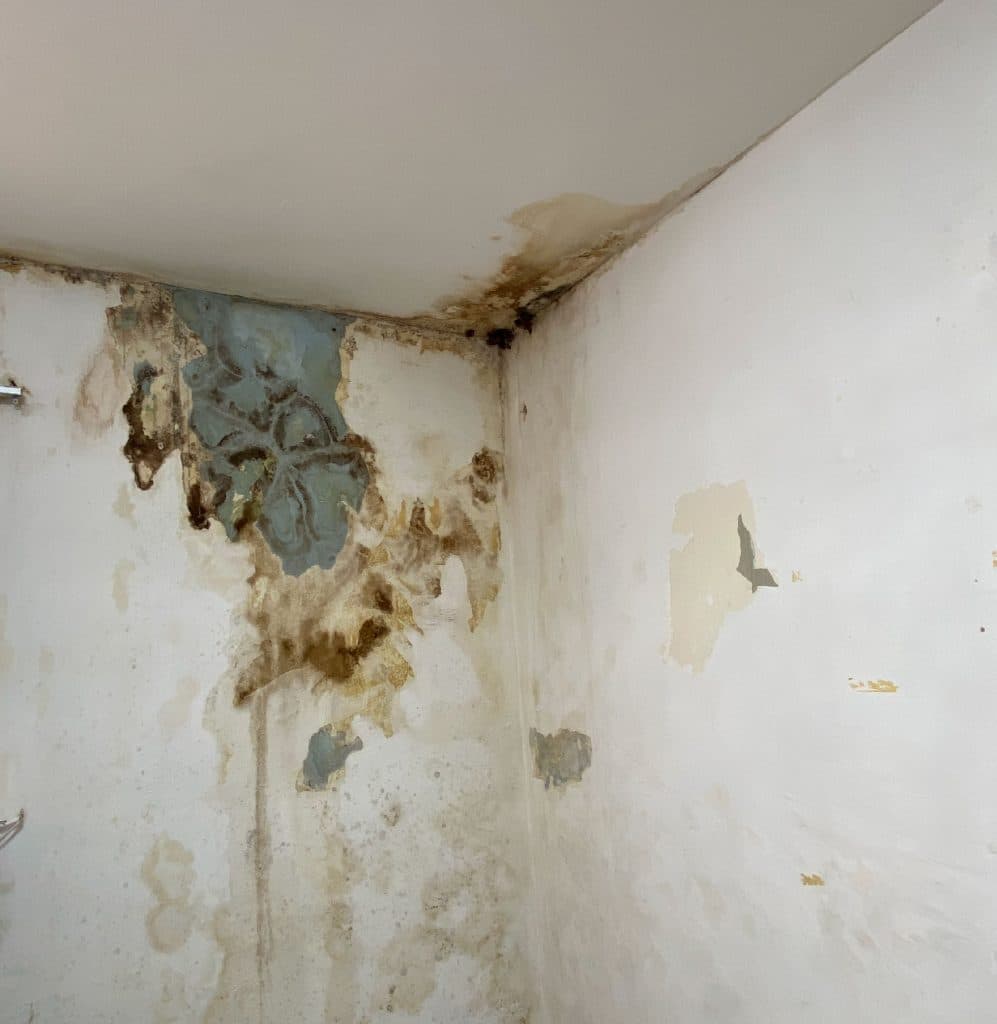 home-inspection