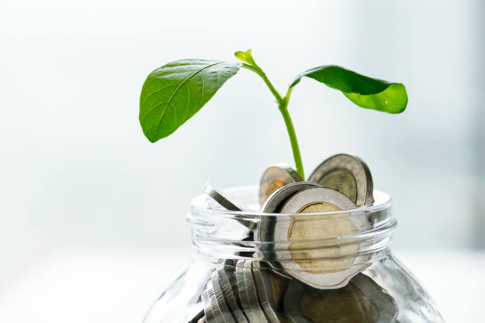 Money Plant for Vastu